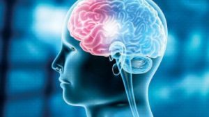 تحذير.. نتناوله يوميا وهو يسبب تدمير خلايا الدماغ يصيبك بهشاشة العظام