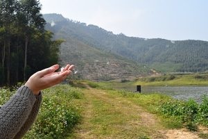 رواية ابنه الراعي