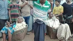 محمد الصغير … قصة واقعية مؤثرة جداً بقلم الأديب الشيخ علي الطنطاوي