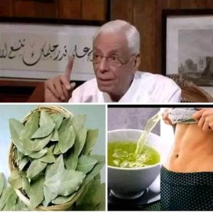 معجزة ورق الغار