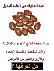 نعمه من رب السماء