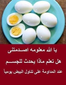 تناول البيض يومياً