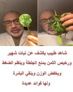 نبات شهير ورخيص الثمن يمنع الجلطة