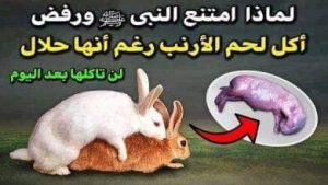 لماذا أمتنع النبي ﷺ ورفض اكل لحم الارنب رغم انها حلال؟ وماذا اكتشف العلماء فيه ؟ لن تاكلها ابداً بعد اليوم